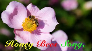 Honey Bee Song.