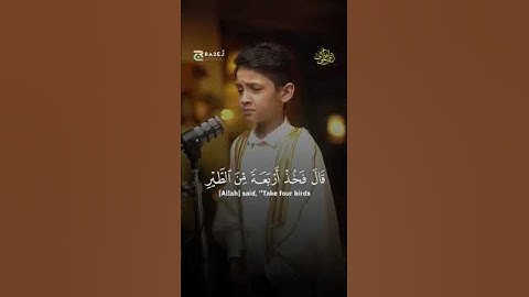وإذ قال إبراهيم رب أرني كيف تحي الموتي #قرآن #القارئ #عمر علي #ترند #مصر
