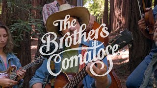 The Brothers Comatose - “Tops of the Trees”