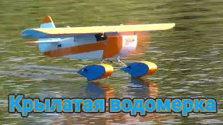 :  /Flying Water Skater