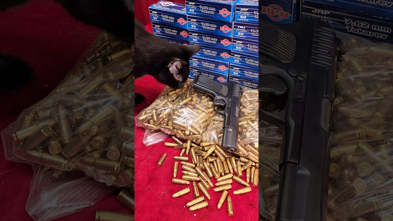 1952 Polish Tokarev TT-C TT-33