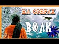 Псебай ГОРЫ ГДЕ-ТО НА ОЗЕРАХ 22 год Зима волк Кавказ Краснодар Поход  Лабинск Мостовской