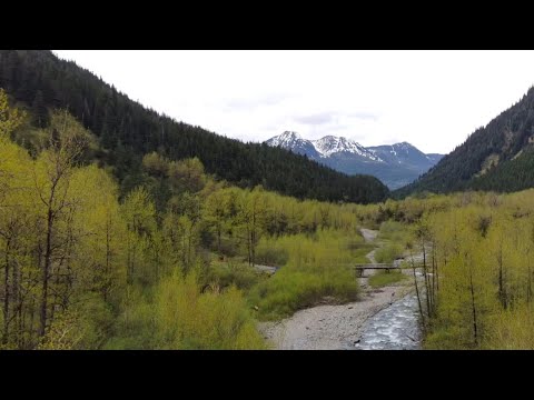Alaska Gold Mining Part II! Digging Deeper and Up! #juneau #goldmining 