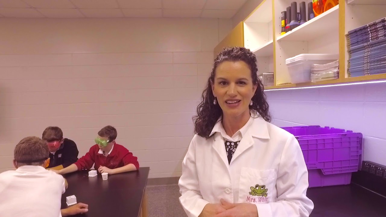 Saraland Middle School - Science Lab Update
