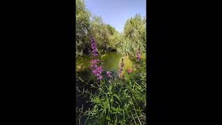 Uyu Memik Oğlan Uyu Resimi