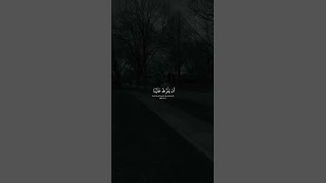"قال لا تخافا"تلاوه هادئه ومريحه للنفس 💙 |قرآن كريم 💜