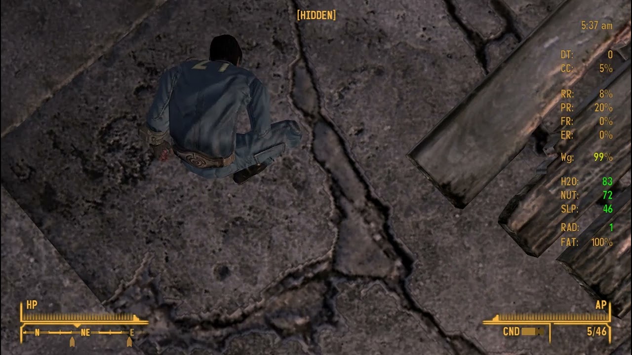 FNV enhanced camera aiming bug.... Anyone know how to fix? 