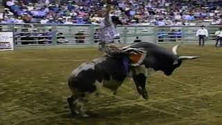 Alligator K.O.'s Tuff - 93 Tuff Hedeman event