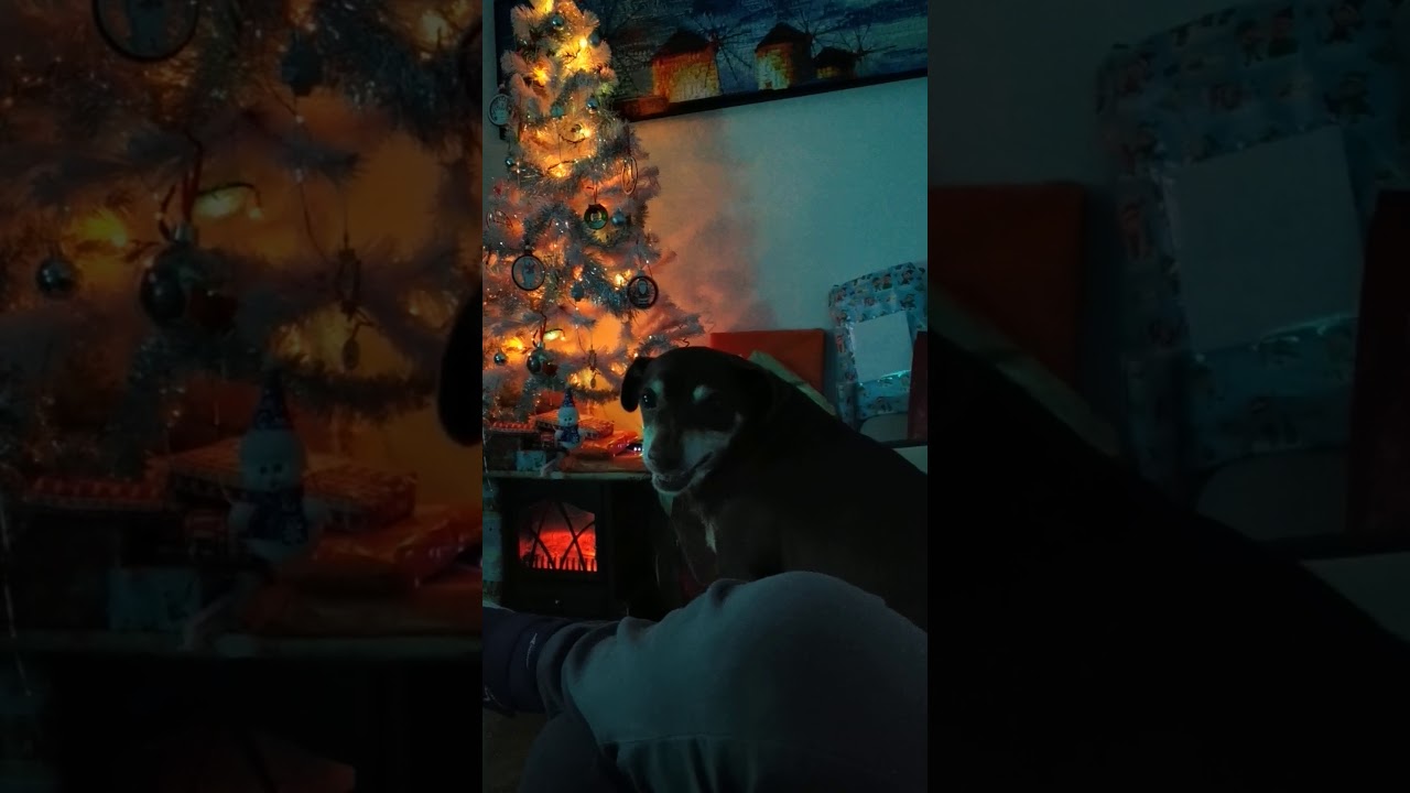 Sparky does the Shining movie "Red rum" scene