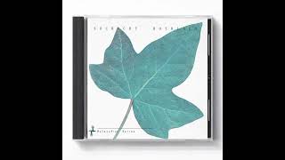 Stevie Larkin And Packie Bolger San Oíche, Fobhóthar 1985