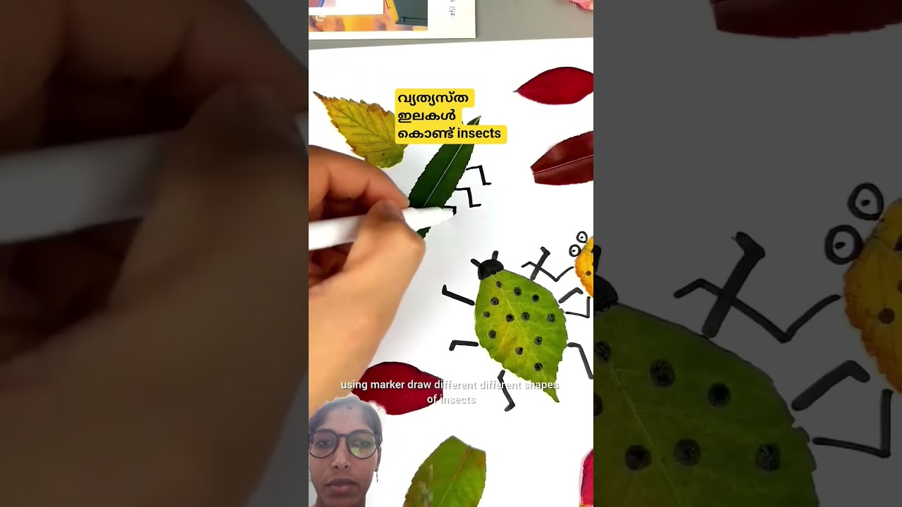 വ്യത്യസ്ത ഇലകൾ കൊണ്ട് insects 