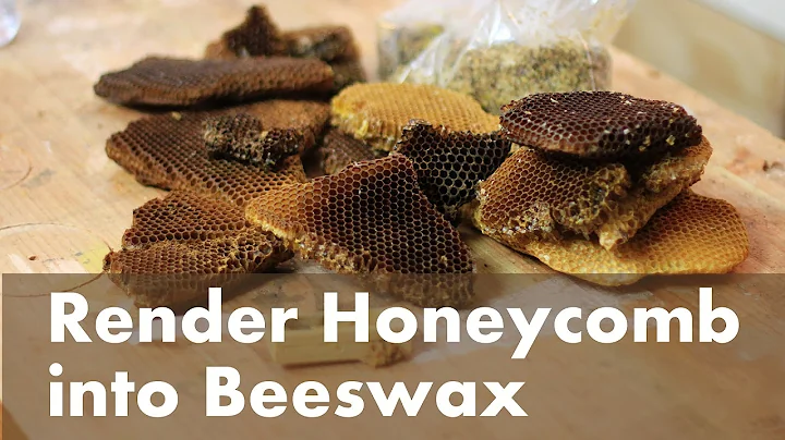 How To Render Beeswax from a Honeycomb - DayDayNews
