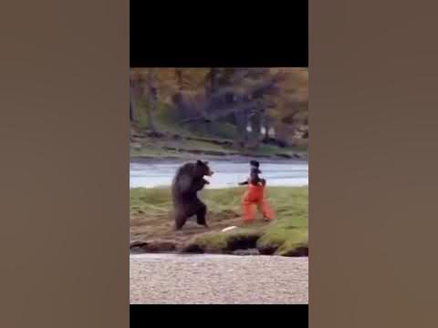 Фреди фазбер: мем - YouTube