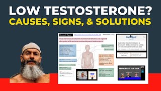 Top Reasons For Low Testosterone: Causes, Signs, Solutions