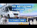 Путешествие на автодоме с собаками и кошками Испания-Россия