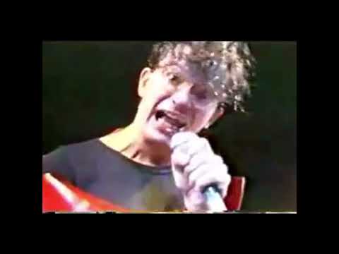 Devo - Gut Feeling