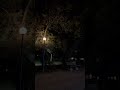 ترى مهما جرى مني راشد الماجد