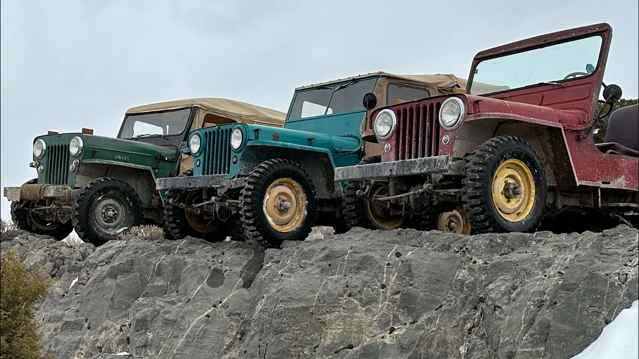 Первые гражданские джипы 1946 CJ2A, 1949 CJ3A и 1954 CJ3B @therealjeepguy