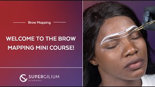 Upgrade the outcome of any brow treatment! | Brow Mapping Course