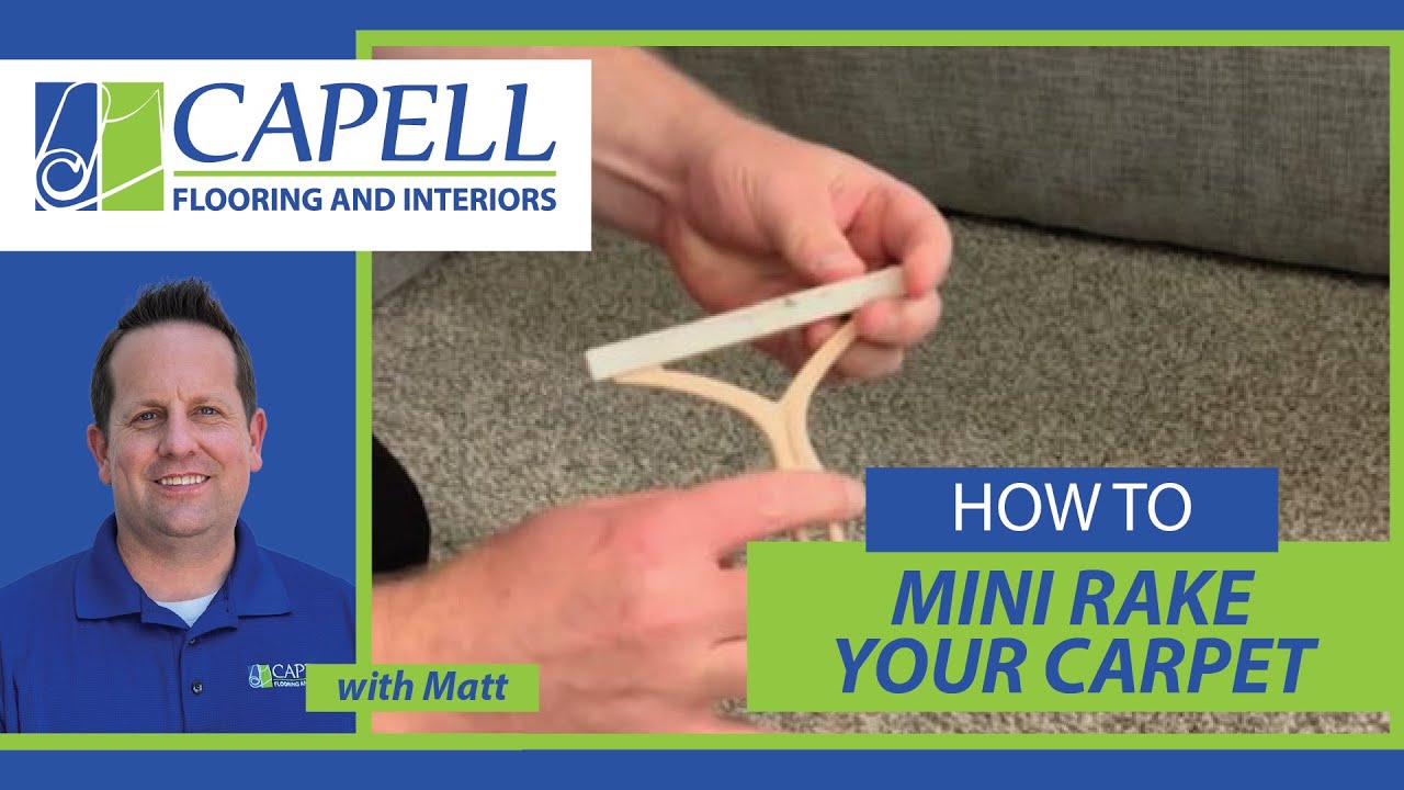 How to Use a Mini Carpet Rake | Carpet Care Tips in Meridian & Boise, Idaho