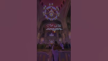 وجوه يومئذ ناعمه سورة الغاشيو القارئ عبد الرحمن مسعد