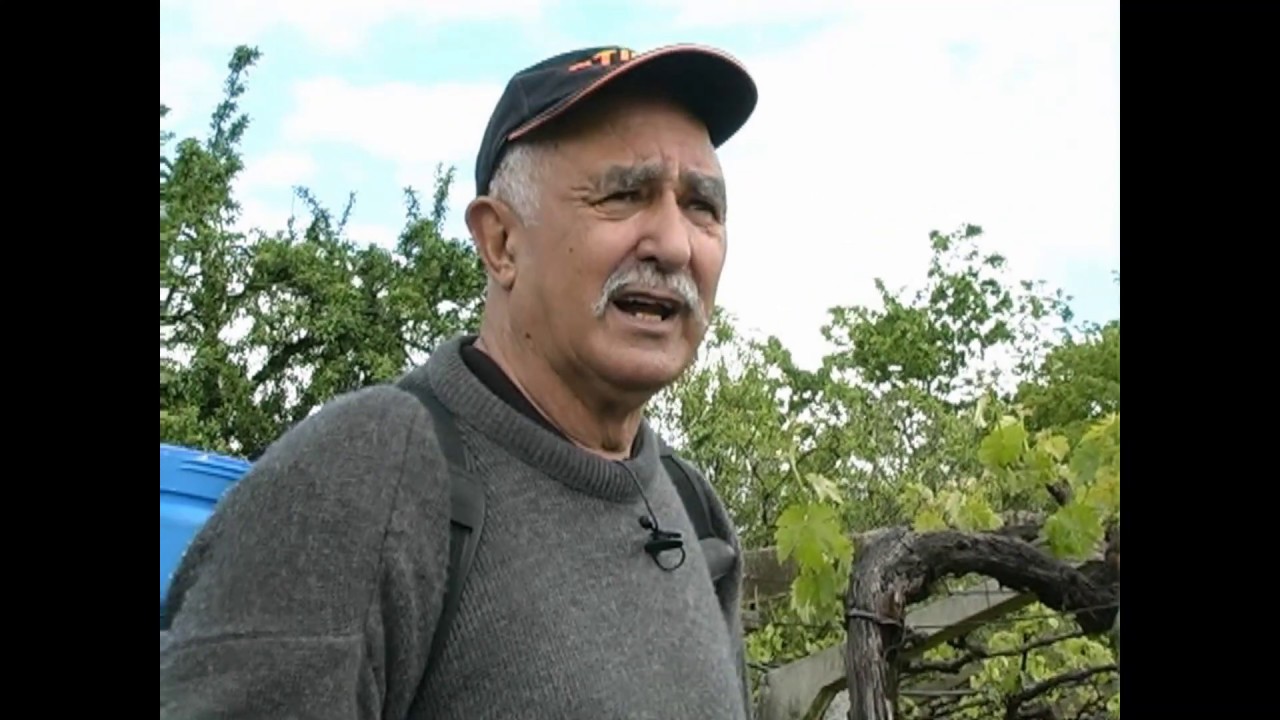 25.-EL CAMPO -  SULFATANDO PATATAS Y VIÑA 2020