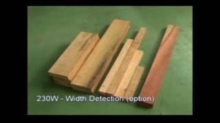 Lobo / Castaly Full Optimizer Cut-Off Saw