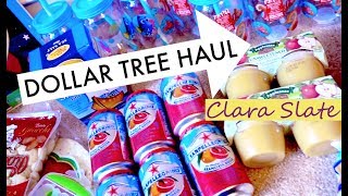 DOLLAR TREE HAUL ♥︎ June 25 2017