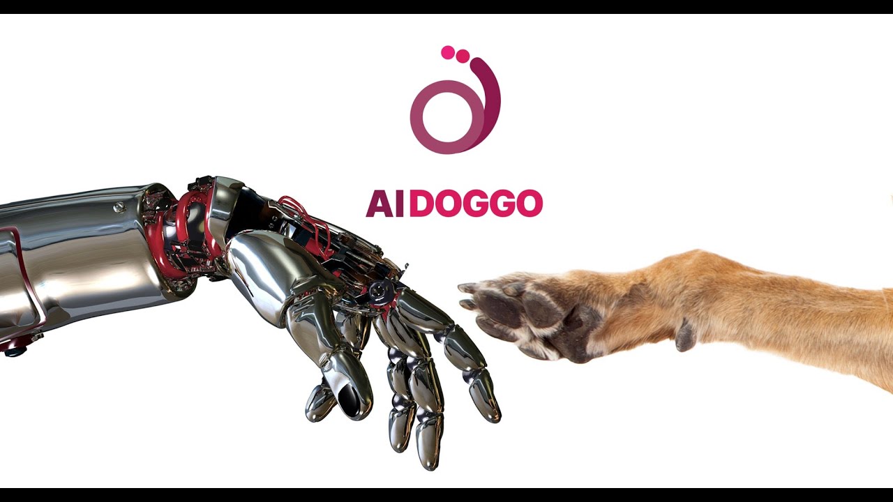 A dog harness that pairs Artificial intelligence with Emotional ...