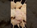 【こじらせ飯】お家串カツ