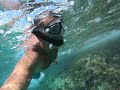Снорклинг на Карибах. Подводный мир Карибского моря.