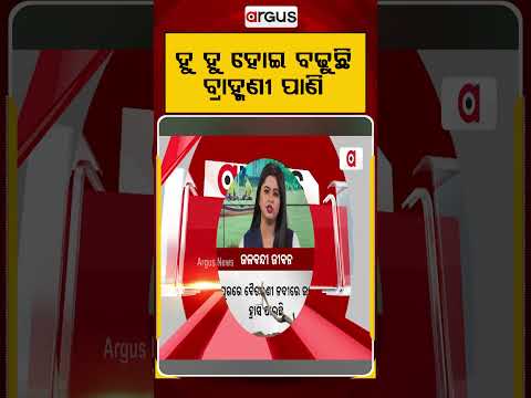 ହୁ ହୁ ହୋଇ ବଢ଼ୁଛି ବ୍ରାହ୍ମଣୀ ପାଣି | Brahmani River | Argus Reels | OdishaFlood | ArgusNews
