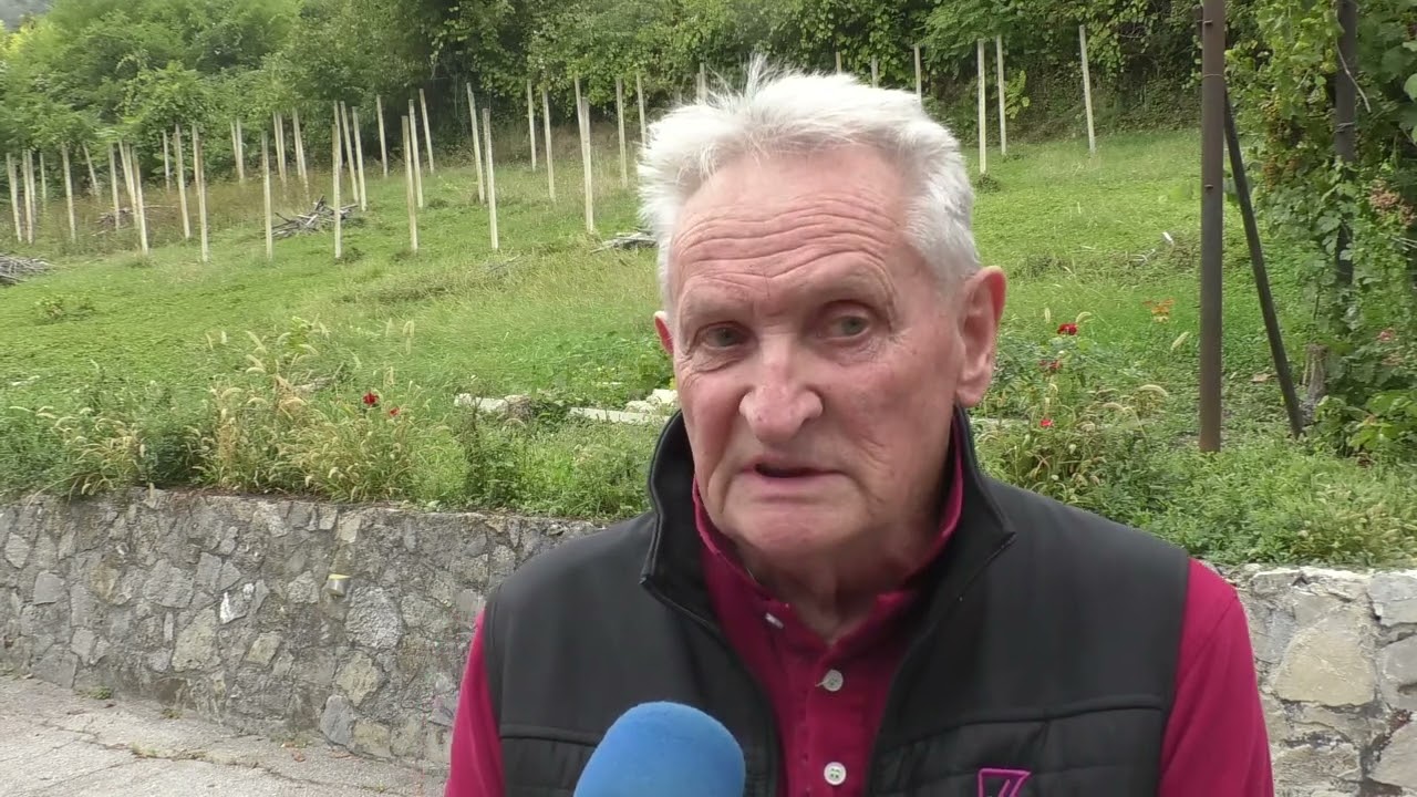28.09.26. - Zlatna žutica ubire danak