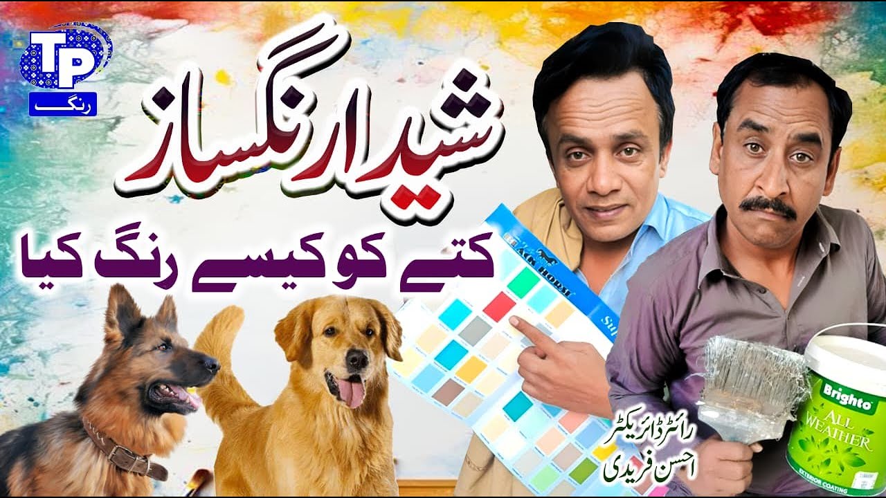 Saeed Rangsaz Sheda rangsaz | Saraiki Funny Drama | Akbar Jalali | TP RANG - YouTube