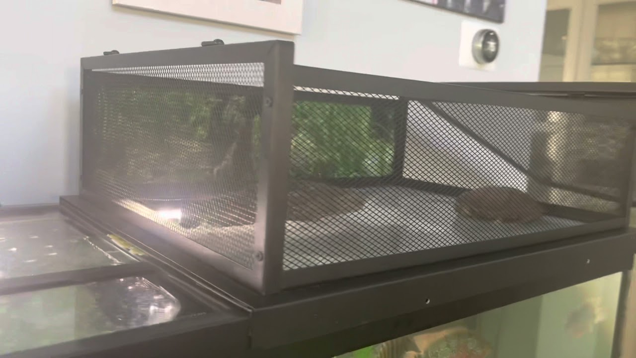Above Tank Basking Area for Turtle Review
