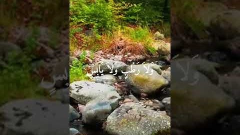 القارئ ناصر القطامي ماتيسر من (سوره الأنعام)