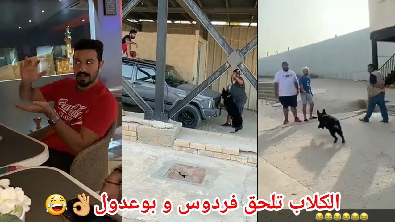 فهد العرادي يطقطق على المتزوجين مع حسون الجدي لا يفوتكم فردوس مع بوعدول يهربون من الكلاب هههه خايفين