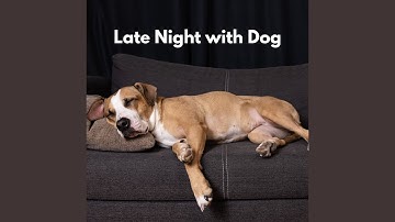 Spectacular Ambience for Forgetting Mirrors