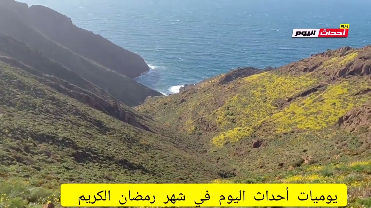 جمال بلادي من ولاية سيدي بلعباس 08~03~2026