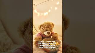 The Surprising History of the Teddy Bear: A Tale of Friendship and Legacy | @Antique Wispers