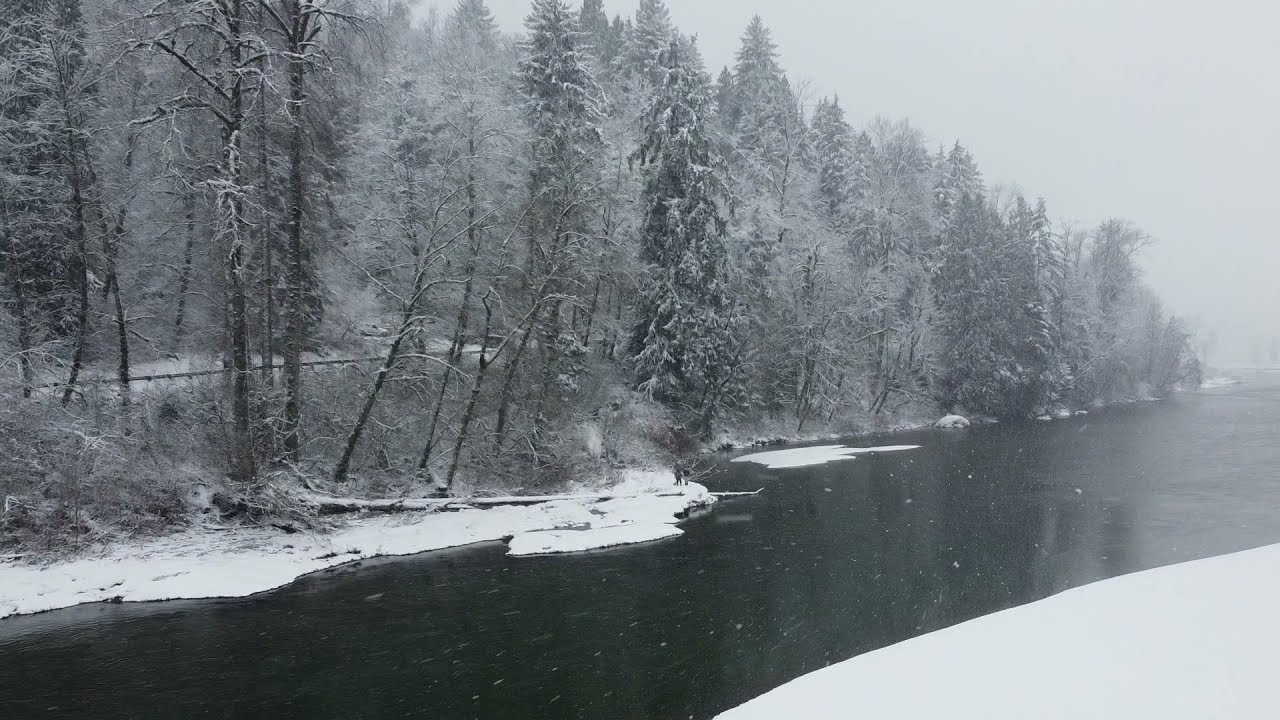 Fascinating 4k Drone Footage over a Snowy Skykomish River 2021 Winter