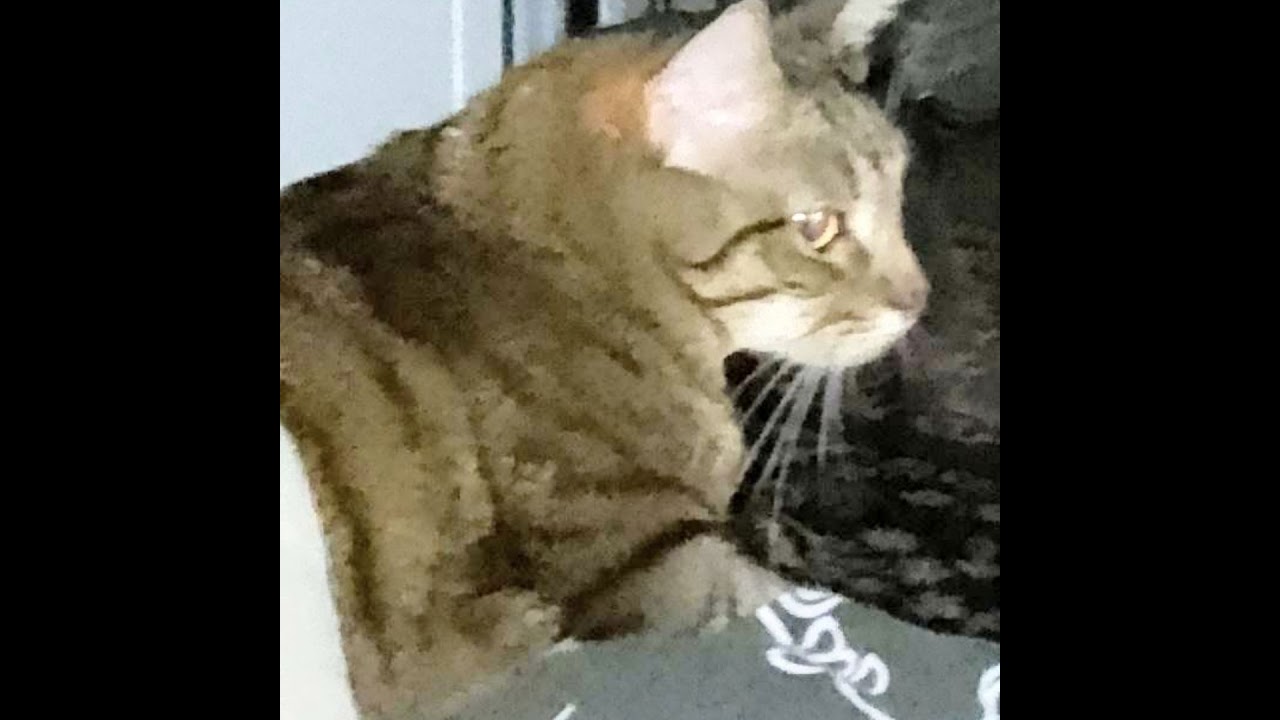 ДЕНБРО в прямом эфире!