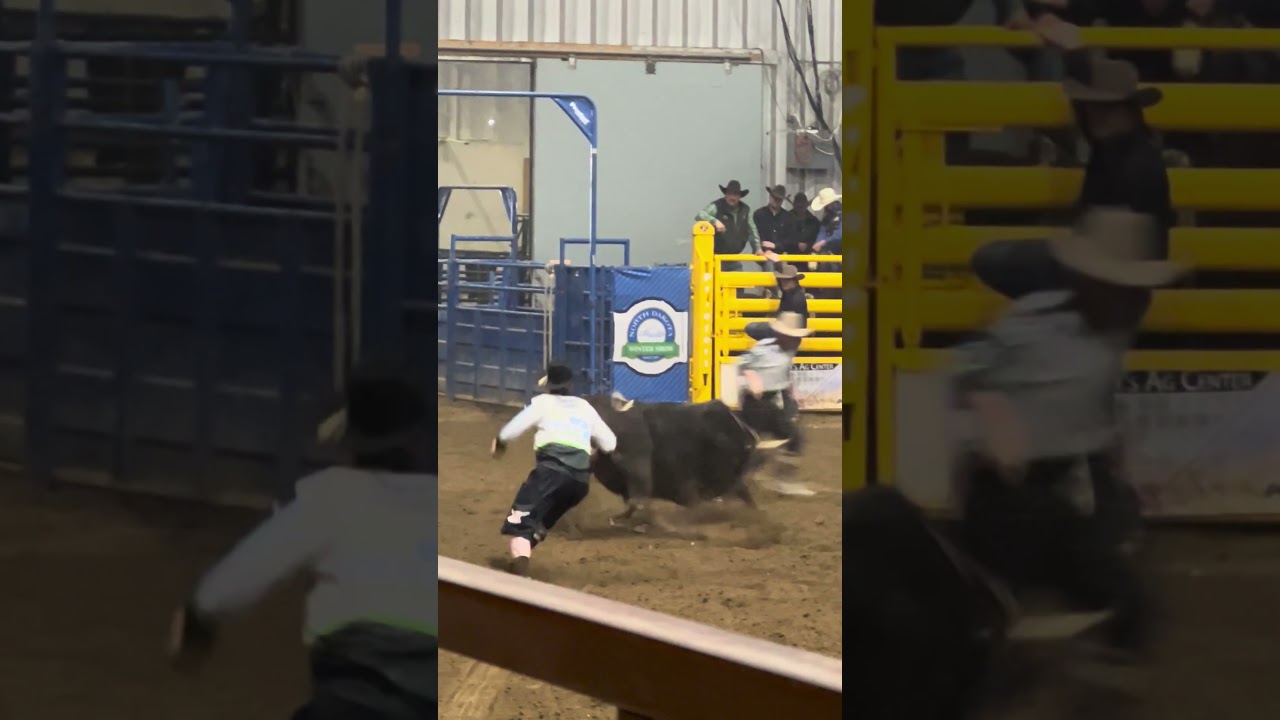 Bull Riding Thrills! PRCA Valley City. 