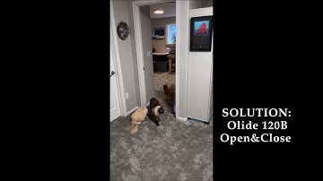 Olide120B Automatic Swing Door Opener Testimonial Video from Customer