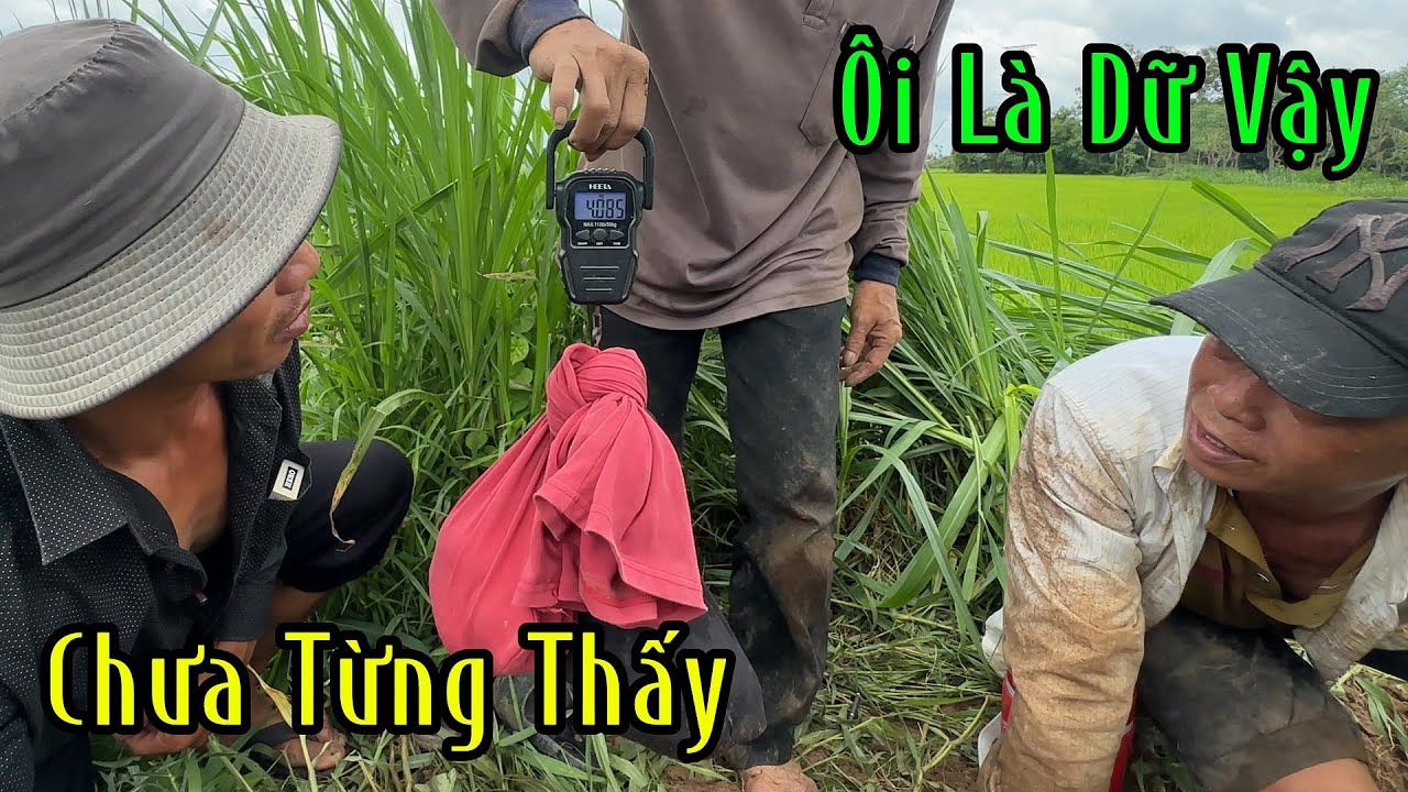 Chưa Từng Thấy Không Thể Nào Tin Được | Mười Thương SB