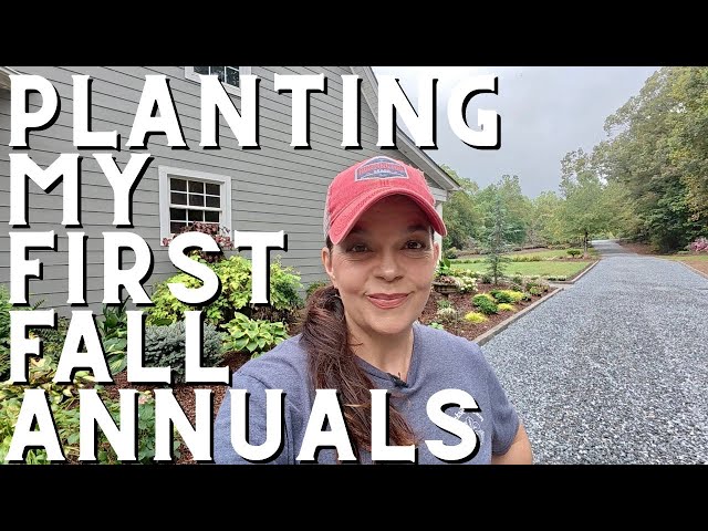 First Fall Planting of the Season | Windowbox, Double Pansies & More -  YouTube