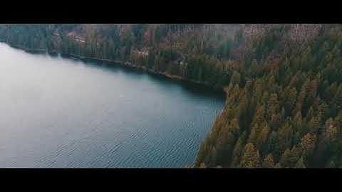 ايات من سورة البقرة فلما فصل طالوت بالجنود - ماجد الغنيمي