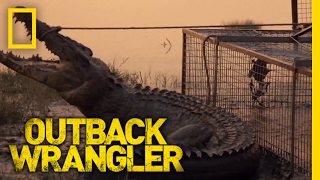 Fistful of Croc | Outback Wrangler