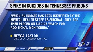 Suicides spike in Tennessee prisons