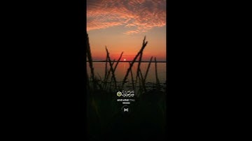 ما تيسر من سورة القصص بصوت القارئ: عماد بغيوة